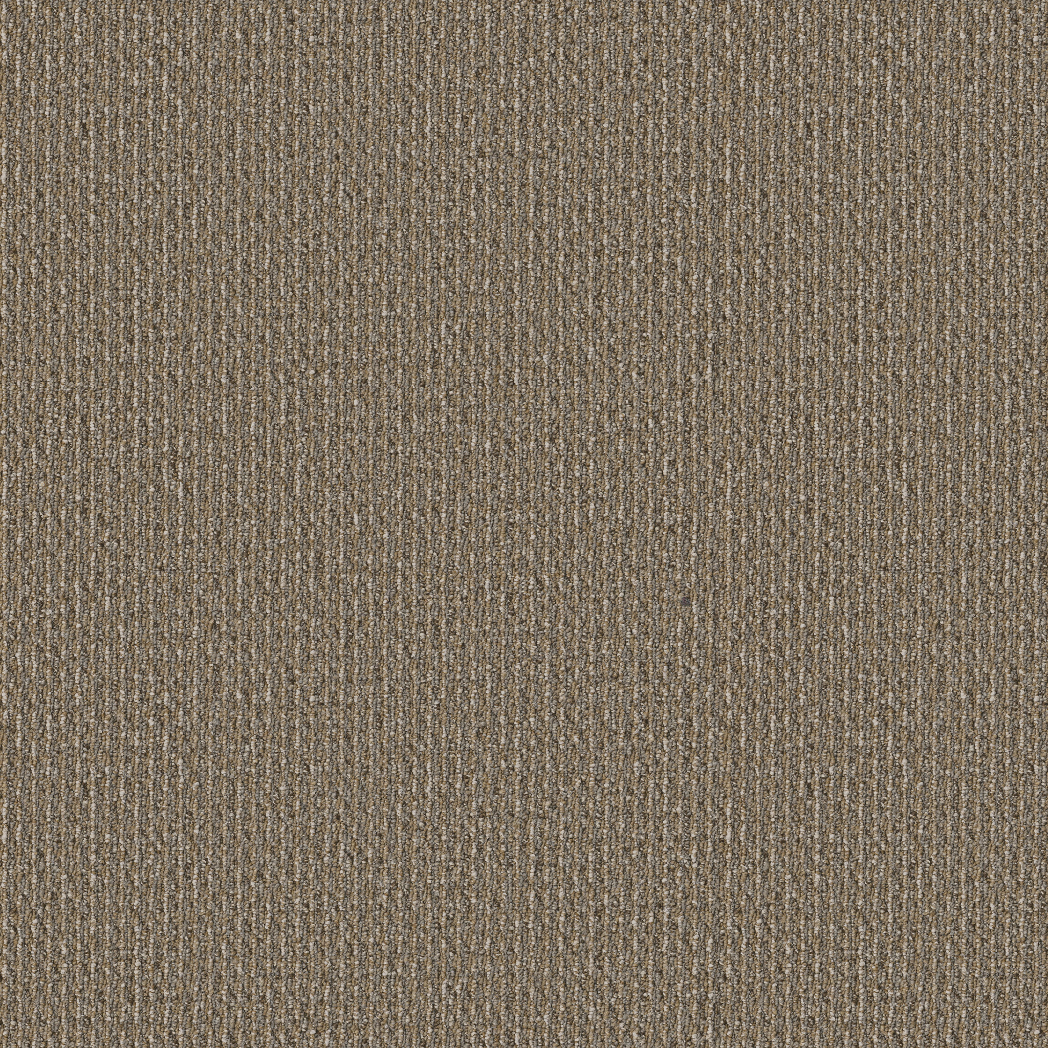 Prelude-Herald-54990_00206