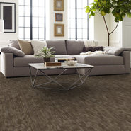 Shared Force 54993 in color Vigorous | Commercial Carpet Tile