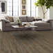 UNITED-FORCE-54994-VIGOROUS-94205-room-image