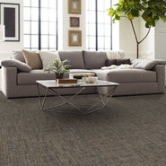 RISE-UP-54997-MOTIVATE-00202-room-image