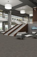 RISE-UP-54997-SUPPORT-00204-room-image