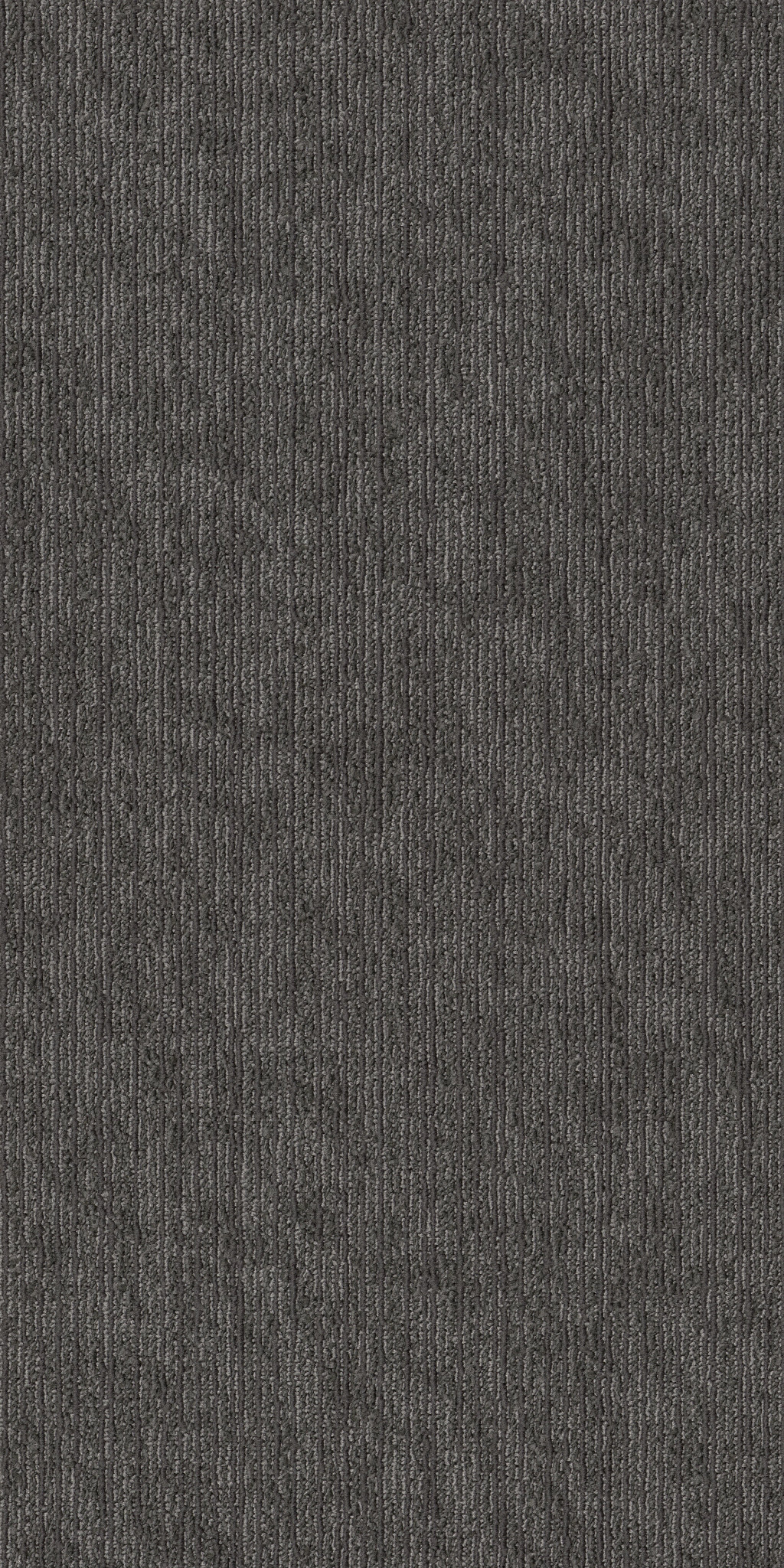 Mottled-Ground Fog-55004_00500