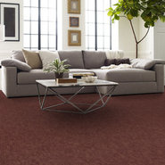 MOTTLED-55004-WILD-CURRANT-00800-room-image