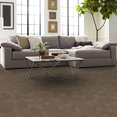 REFOCUS-55005-EVOLVE-00200-room-image