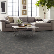 REFOCUS-55005-BALANCE-00400-room-image