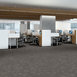 REFOCUS-55005-MATURE-00500-room-image