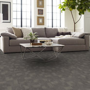 REFOCUS-55005-MATURE-00500-room-image