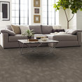 REFOCUS-55005-SHIFT-00700-room-image