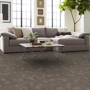 REFOCUS-55005-SHIFT-00700-room-image