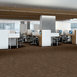 REFOCUS-55005-ALTER-00705-room-image