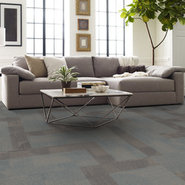 RESET-55006-BALANCE-00400-room-image