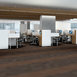 RESET-55006-ALTER-00705-room-image