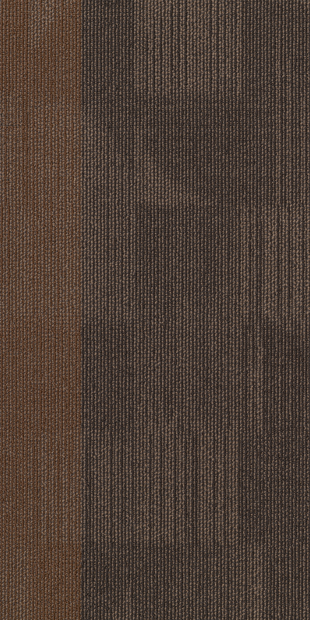 Reset-Alter-55006_00705