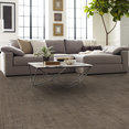 TERRENA-TL-55010-CANOPY-00710-room-image