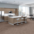 MODERN-HEIRLOOM-TL-55011-FLAXEN-00202-room-image