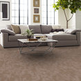 MODERN-HEIRLOOM-TL-55011-WINDSOR-TAN-00208-room-image
