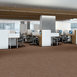 MINDFUL-MOVEMENT-TL-55012-SAFFRON-00602-room-image