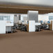 MUTED-RHYTHMS-TL-55013-SADDLE-00700-room-image