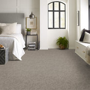 MODERN-HEIRLOOM-BROADLOOM-55014-CHIFFON-00200-room-image