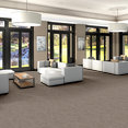 MODERN-HEIRLOOM-BROADLOOM-55014-FLAXEN-00202-room-image