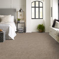 MODERN-HEIRLOOM-BROADLOOM-55014-WINDSOR-TAN-00208-room-image