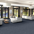 MINDFUL-MOVEMENT-BROADLOOM-55015-LARKSPUR-00406-room-image