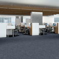 MINDFUL-MOVEMENT-BROADLOOM-55015-LARKSPUR-00406-room-image