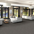 MINDFUL-MOVEMENT-BROADLOOM-55015-GAUNTLET-GREY-00504-room-image