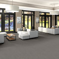 MINDFUL-MOVEMENT-BROADLOOM-55015-FLORENTINE-00506-room-image