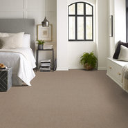 MUTED-RHYTHMS-BROADLOOM-55016-WINDSOR-TAN-00208-room-image