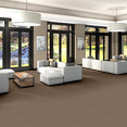 MUTED-RHYTHMS-BROADLOOM-55016-SADDLE-00700-room-image