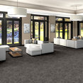 FOLIUM-BROADLOOM-55017-DWELLING-00510-room-image