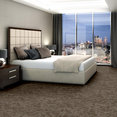FOLIUM-BROADLOOM-55017-CANOPY-00710-room-image