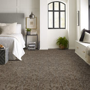 FOLIUM-BROADLOOM-55017-CANOPY-00710-room-image