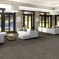 TERRENA-BROADLOOM-55018-HABITAT-00220-room-image