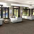 TERRENA-BROADLOOM-55018-CANOPY-00710-room-image