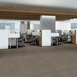 CARBON-COPY-II-TL-55027-MIRROR-IMAGE-06100-room-image