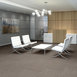 CARBON-COPY-II-TL-55027-STENCIL-06105-room-image