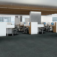 CARBON-COPY-II-TL-55027-GRIDLINE-06343-room-image
