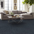 CARBON-COPY-II-TL-55027-BLUEPRINT-06440-room-image