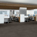 CARBON-COPY-II-TL-55027-CLONE-06710-room-image