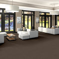 BROAD-STREET-15-55038-LIBERTY-BELL-00706-room-image