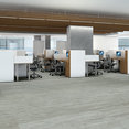 IN-THE-GRAIN-II-12-MIL-5524V-FROSTED-OATS-00559-room-image