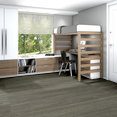 IN-THE-GRAIN-II-12-MIL-5524V-MILO-00572-room-image