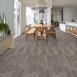 IN-THE-GRAIN-II-30-5536V-ELMWOOD-00170-room-image