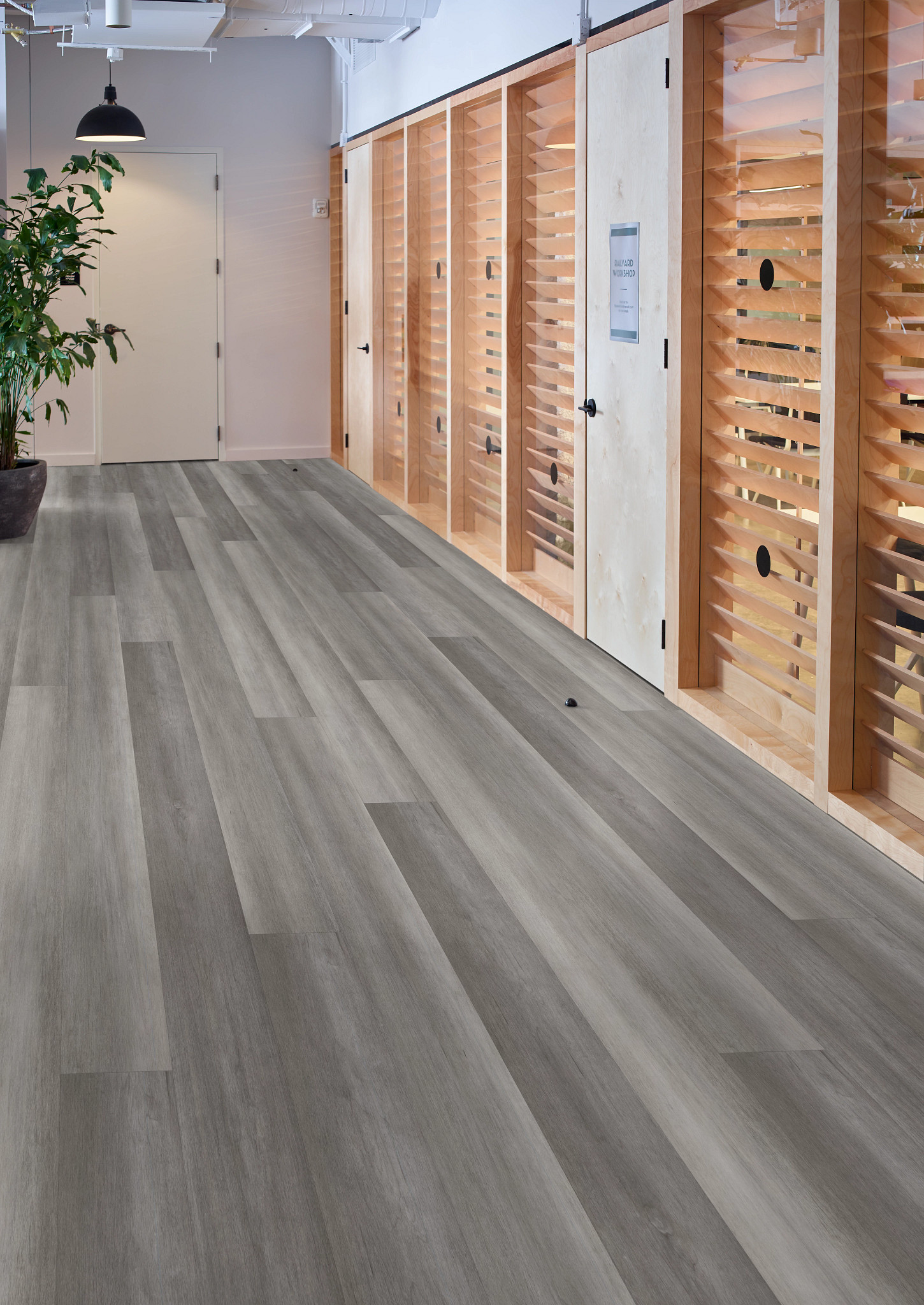 Philosopher's Tree - Graphite Steel - 5599V_00505