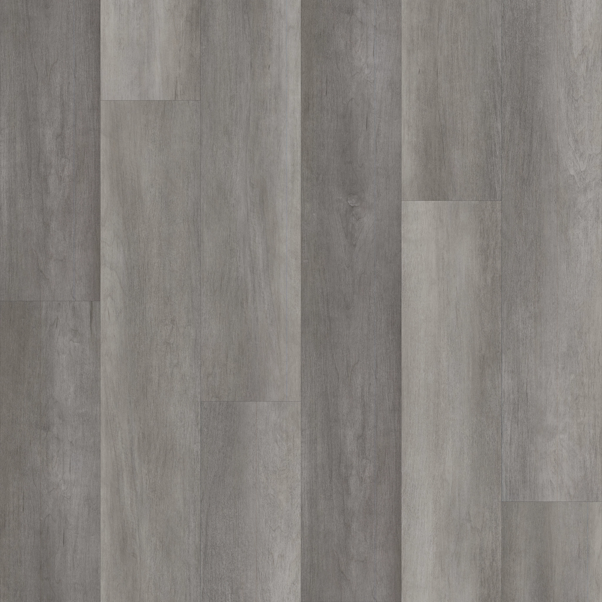 Philosopher's Tree-Graphite Steel-5599V_00505