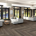 PHILOSOPHER'S-TREE-5599V-BRONZE-00704-room-image