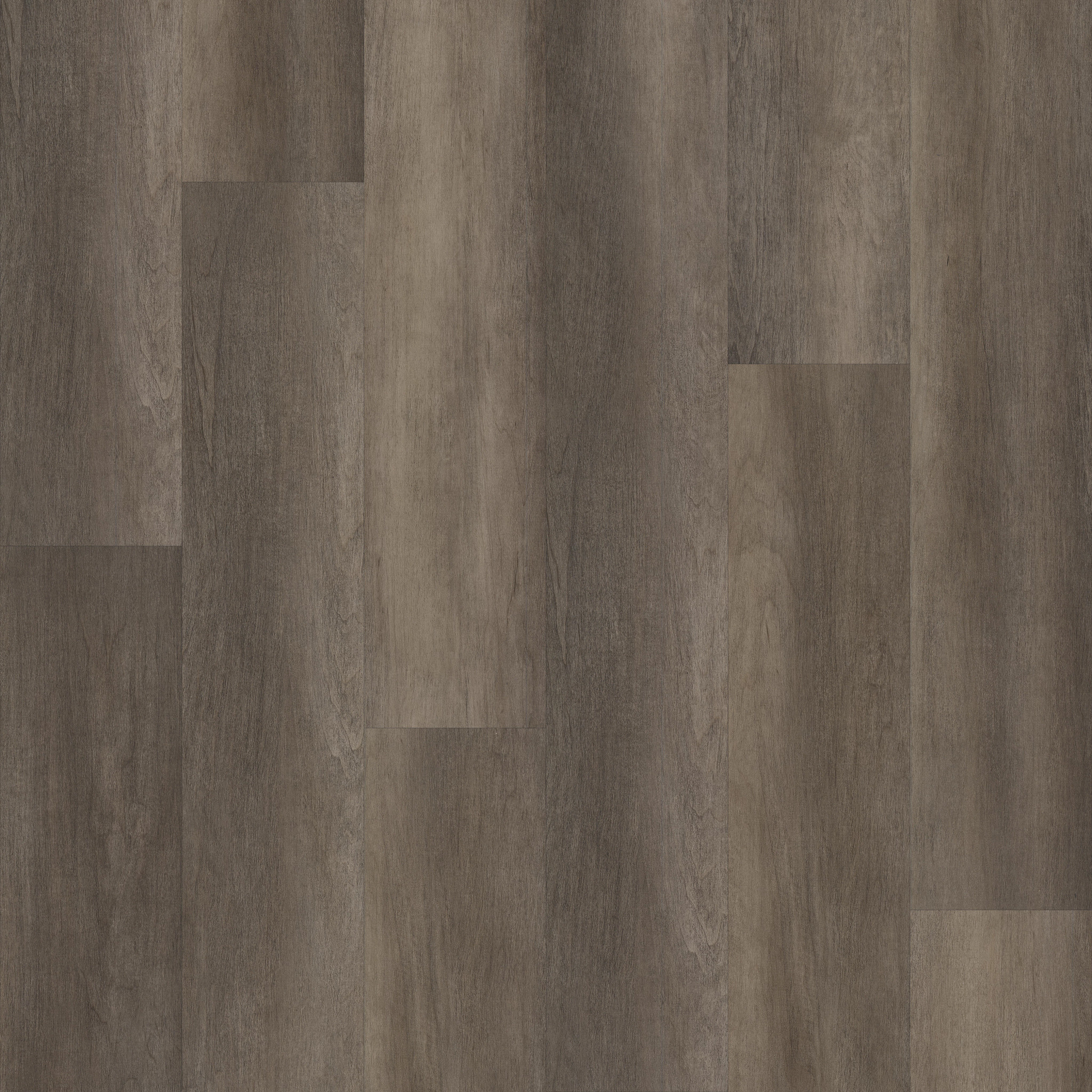 Philosopher's Tree-Bronze-5599V_00704