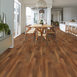 FORTITUDE-5601V-AMBER-OAK-00820-room-image